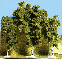 Trees -- Birch Trees