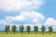 Classic Series Deciduous Tree Economy Pack -- Green 3-1/8"  8cm Tall pkg(7)