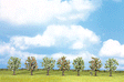 Classic Series Deciduous Tree Economy Pack -- Blossoming Fruit 3-1/8"  8cm Tall pkg(7)