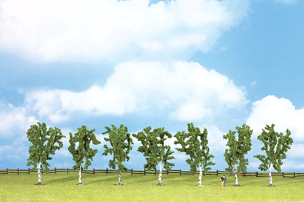 White Birch Economy Pack - Classic Series -- 3-15/16"  10cm pkg(7)