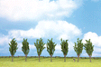 Classic Series Deciduous Tree Economy Pack -- Poplar 4-3/4"  12cm Tall pkg(7)