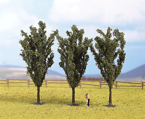 Multi-Tree Packs -- Poplar 4-3/4"  12cm pkg(3)