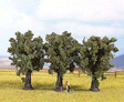 Multi-Tree Packs -- Maple 3-1/2"  9cm pkg(3)