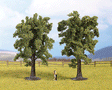 Multi-Tree Packs -- Beech 5-1/8"  13cm pkg(2)