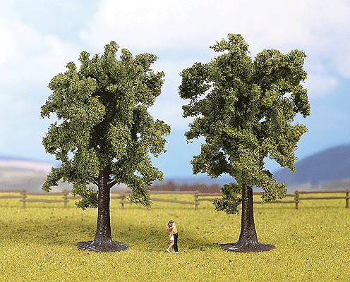 Multi-Tree Packs -- Beech 5-1/8"  13cm pkg(2)