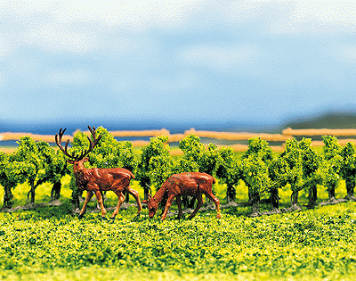 Bushes pkg(24)