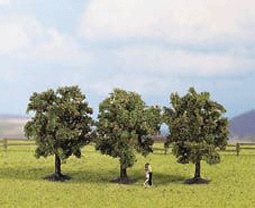Trees -- Apple 4.5cm, 1.7"