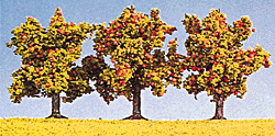 Fruit Trees -- Apple 2-3/4"