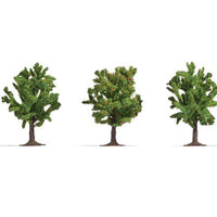 Fruit Trees