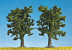 Beech Tree -- 4-3/4"