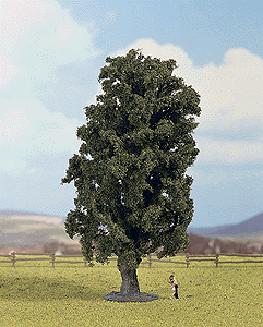 Trees -- Marsh Oak 20cm, 7.8"