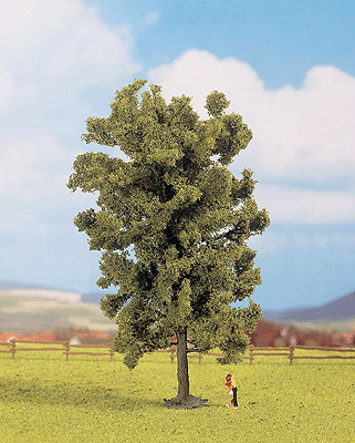 Trees -- Linden (Lime) 6-5/16"  19cm Tall