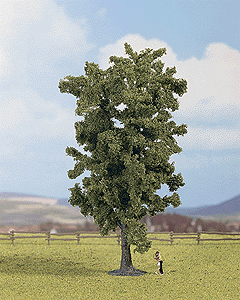 Trees -- Ash 19cm, 6 5/16"