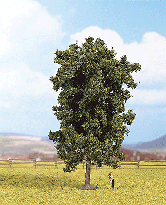 Trees -- Horse Chesnut 19cm, 7.4"
