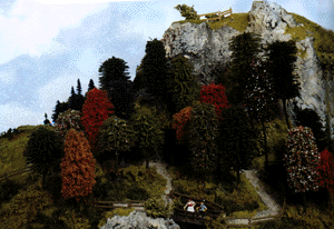Deciduous Forest Assortment