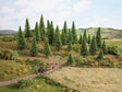 Spruce Trees -- 2 - 5-1/2"  5-14cm Tall pkg(10)