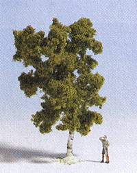 Deciduous Trees -- Birch 4"  10cm