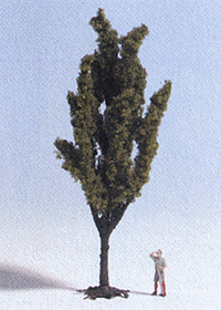 Deciduous Trees -- Poplar 4-13/16"  12cm