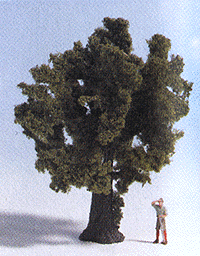 Deciduous Trees -- Mountain Maple 3-5/8"  9cm