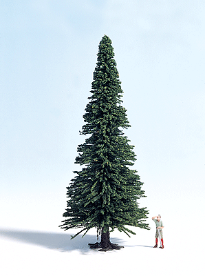 Coniferous (Evergreen) Trees -- Model Pine 6"  15cm