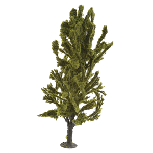 Trees - Bagged -- Alder; 7-7/8"  20cm