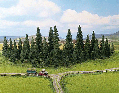 Spruce Trees -- 40 - 100mm, 1.5 - 3.9"