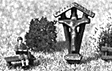 Fir Trees 3.5-9cm 10/-1