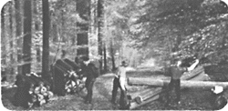 Lumberjacks w/logs