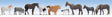 Large Farm Animal Set -- pkg(9)