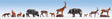 Forest Animals -- pkg(9)