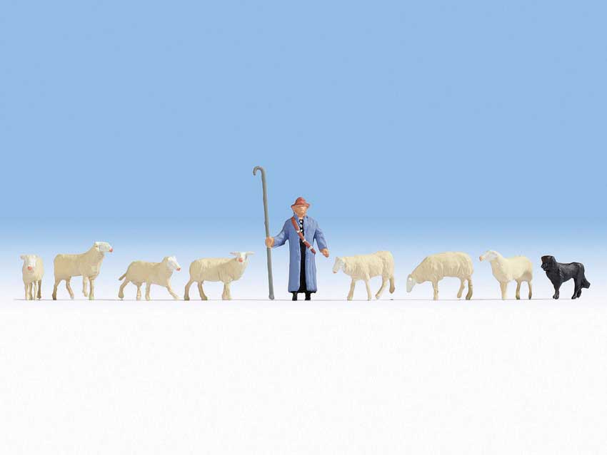 Shepherd with 8 Sheep