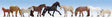 Horses -- pkg(9)