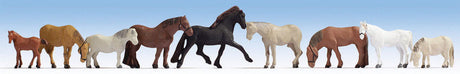 Horses -- pkg(9)