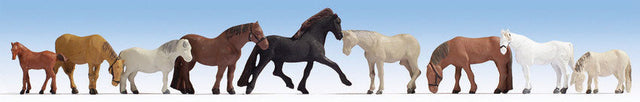 Horses -- pkg(9)