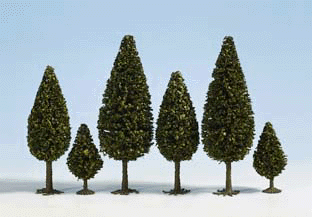 Trees -- For Parks 35-50mm