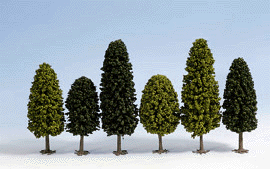 Deciduous Trees -- Assorted 35-65mm