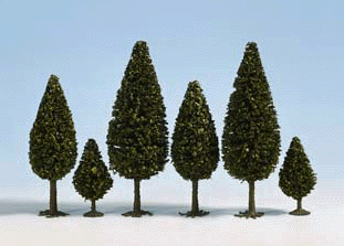 Deciduous Trees -- For The Park 35-50mm