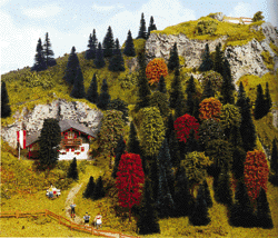 Assorted Trees