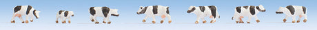 Cows -- Black, White pkg(7)