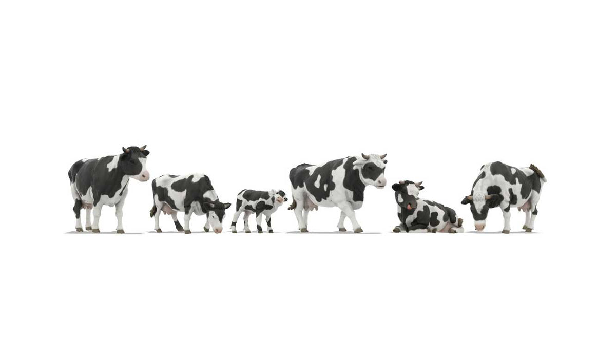 Cows -- pkg(6)