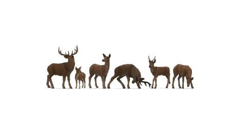 Deer -- pkg(6)