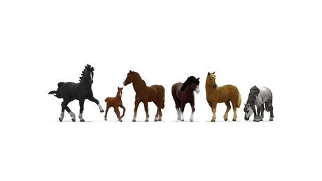Horses -- pkg(6)