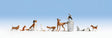 Dogs & Cats -- pkg(10)