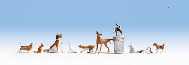 Dogs & Cats -- pkg(10)