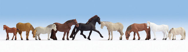 Horses -- pkg(9)