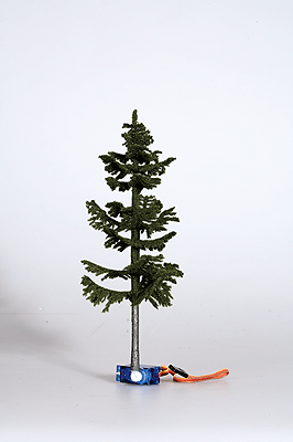 Trees (Digital Falling Tree) -- Spruce 19cm