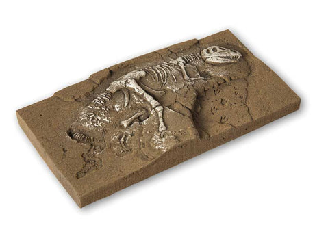 T-Rex Excavation Scene -- Hard-Foam Casting - 5-5/16 x 2-11/16 x 5/8" 13.5 x 6.8 x 1.6cm-2
