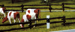 Fence -- Pasture
