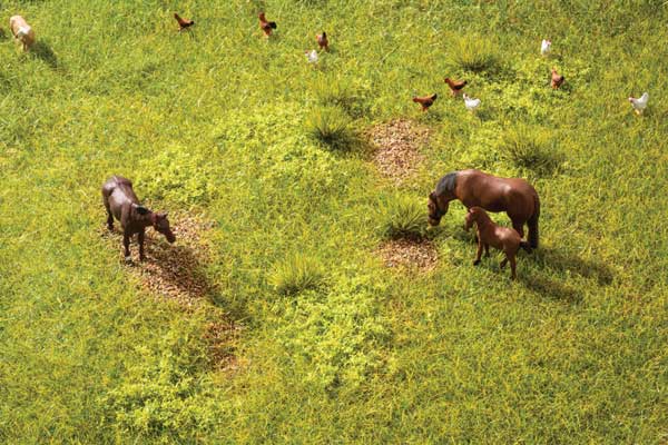 Meadow Vegetation Starter Set-1