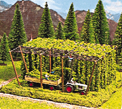 Structurama hop harvest